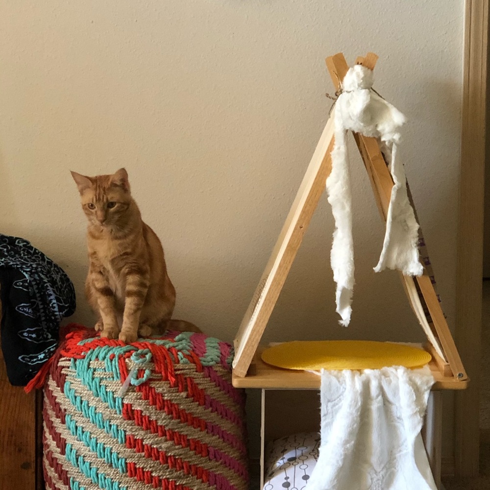 Bespoke Cat House